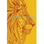 Bíblia Sagrada, Nova Versão Transformadora